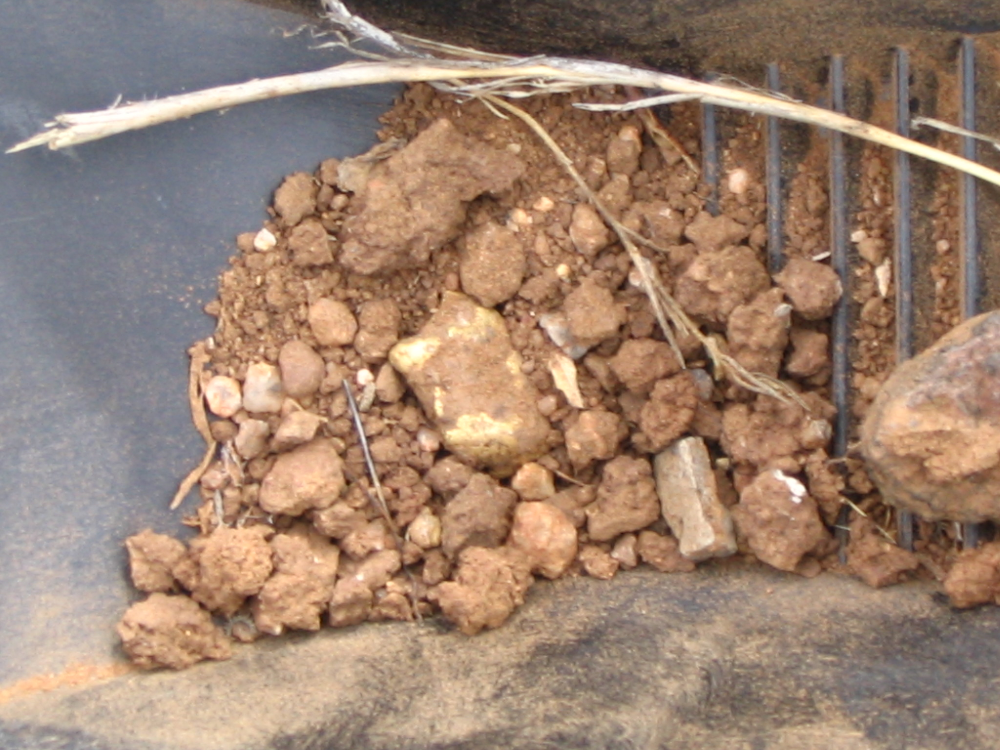 Member content 7 of 25