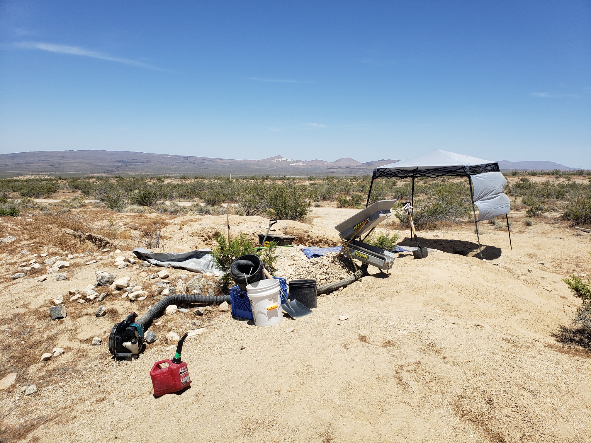 Member content 57 of 206