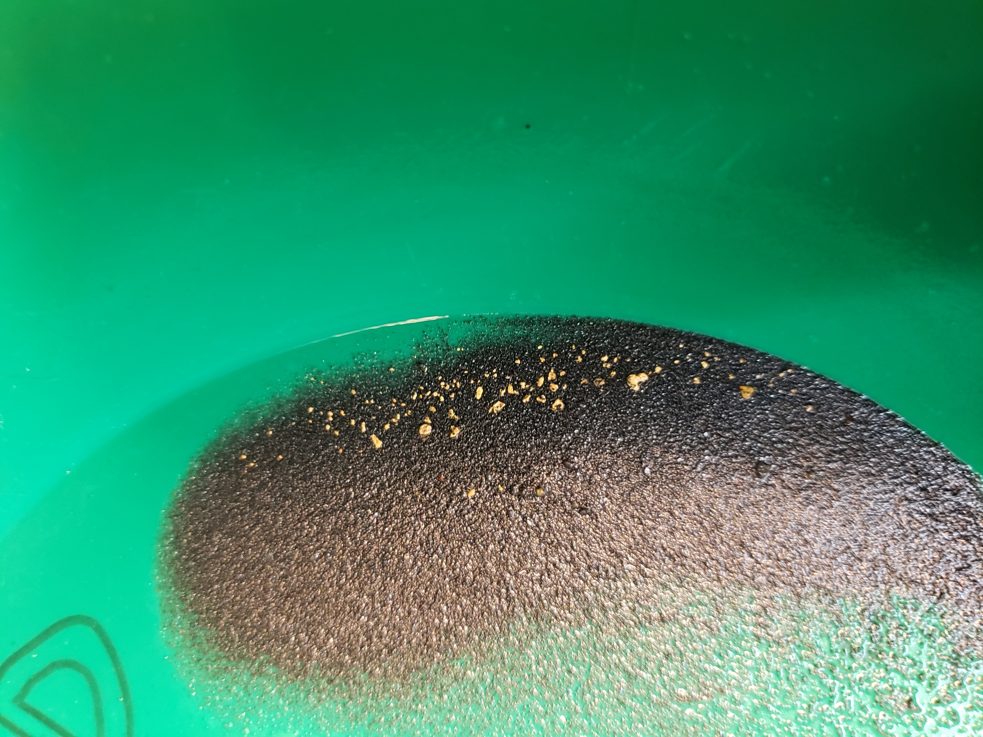 Member content 59 of 206