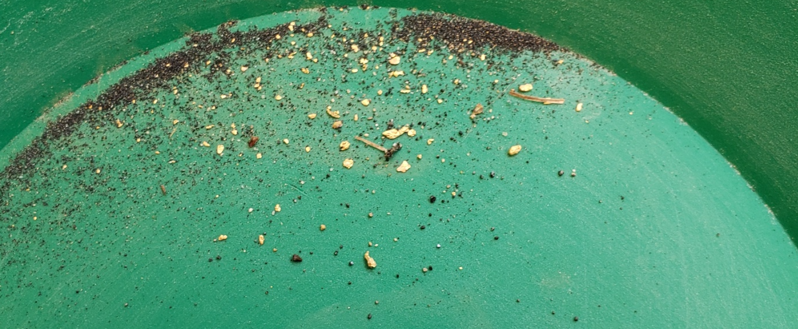 Member content 61 of 206