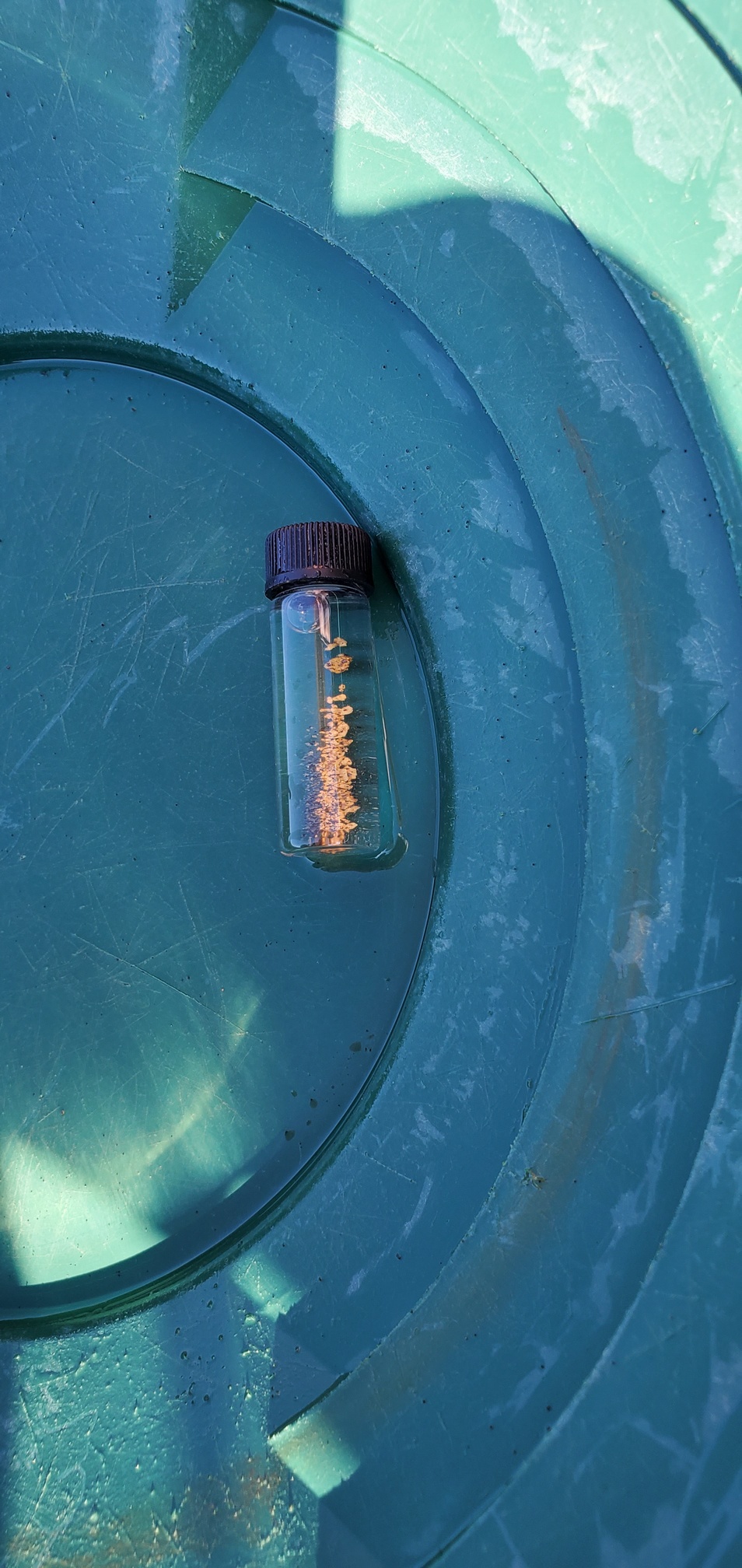 Member content 34 of 206