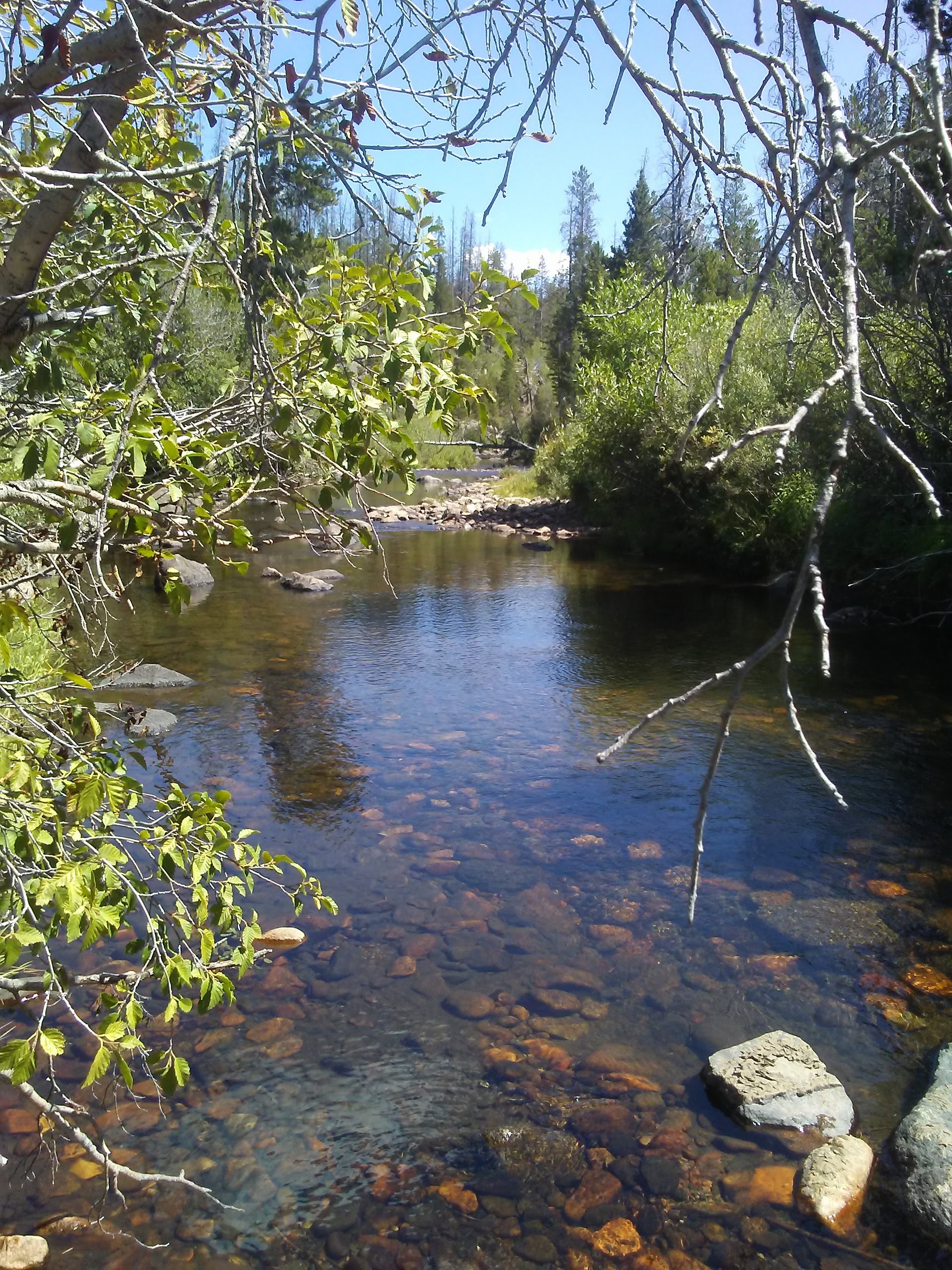 Member content 3 of 11