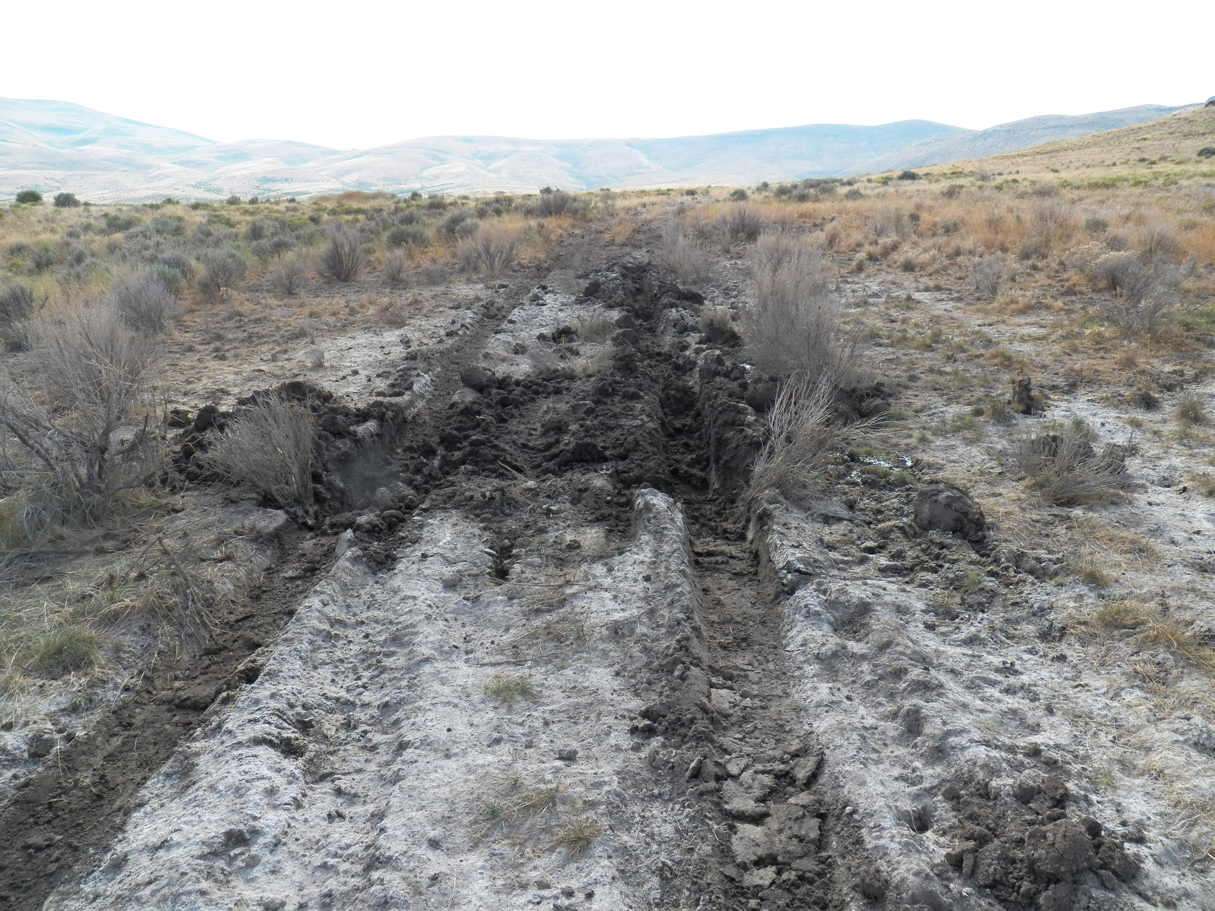 Member content 1 of 9