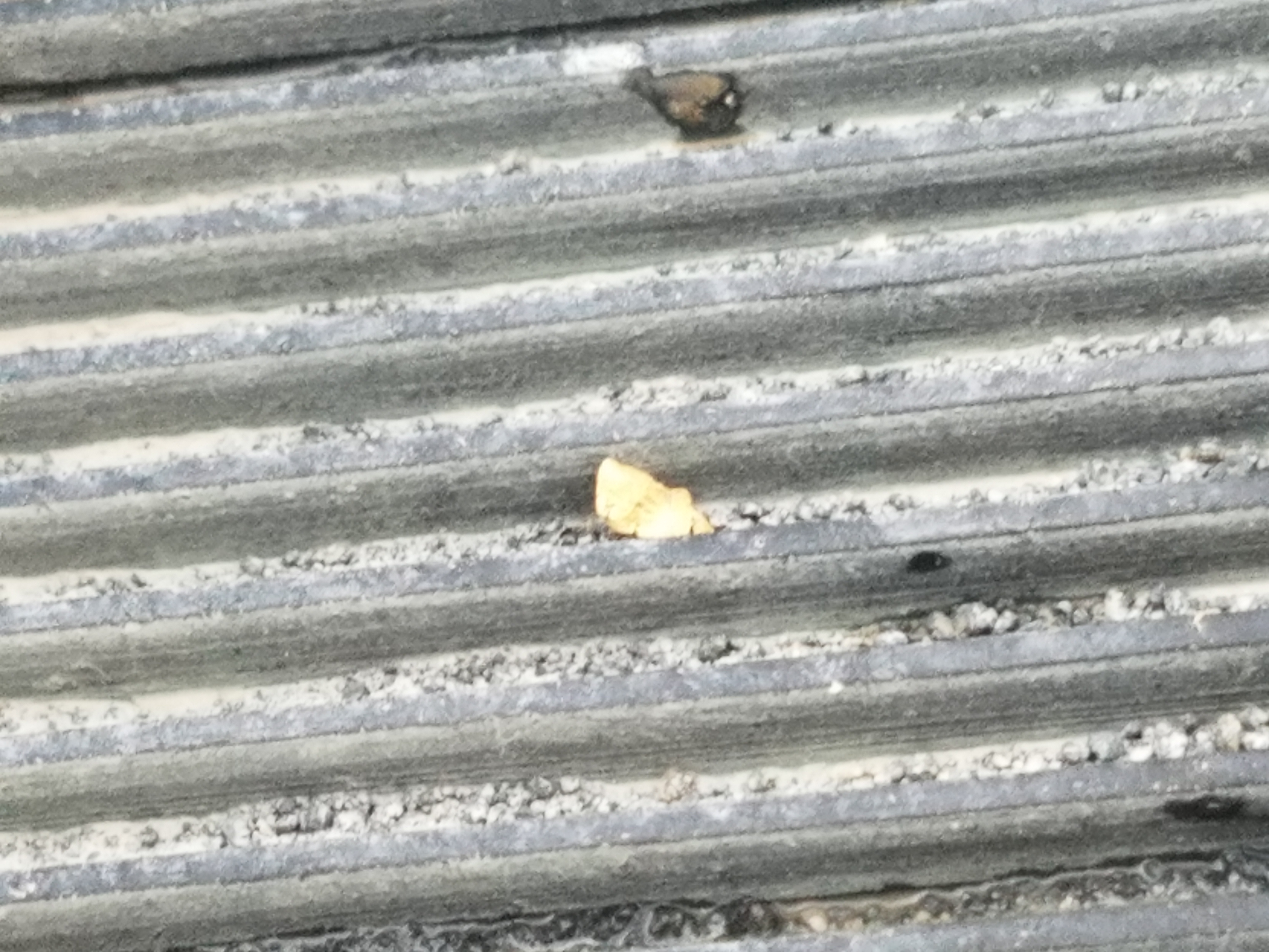 Member content 23 of 206